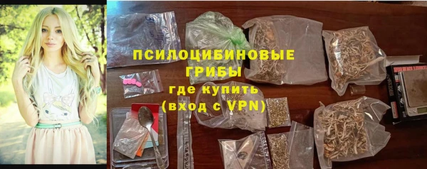 мет Бородино