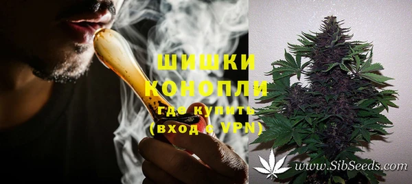 мет Бородино