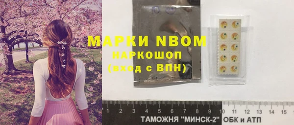 дживик Верхний Тагил
