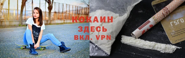 мет Бородино